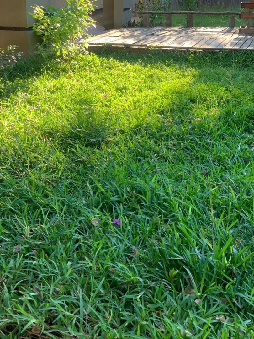 Jungle Breeze Home Stay 카사네 외부 사진