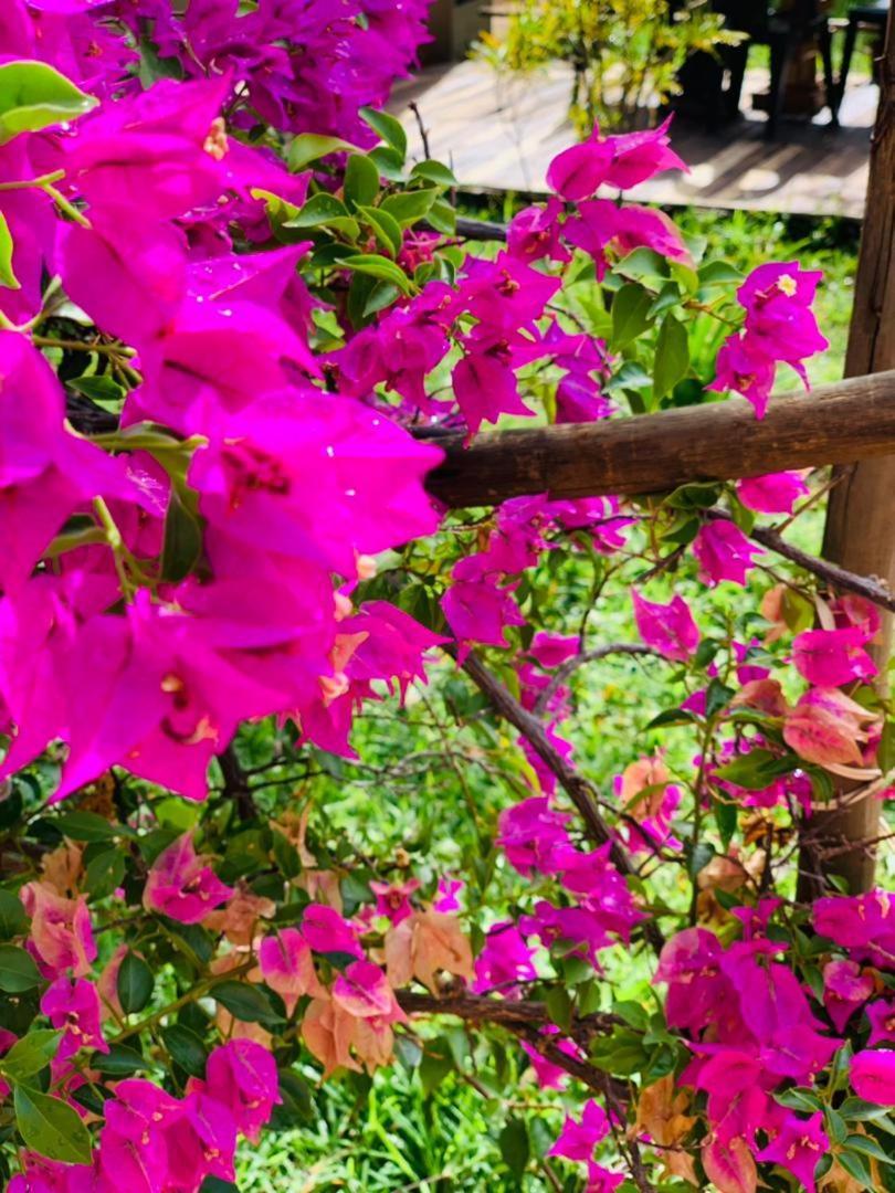 Jungle Breeze Home Stay 카사네 외부 사진